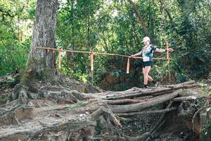 BIB: 
                            <button type="button" onclick="openModal(27743070)" class="btn btn-primary btn-sm float-right btn-popup" data-toggle="modal" data-target=".modal-high-quality">
                        <i class="fas fa-shopping-cart"></i> Add to Cart
                    </button>
                                            <button type="button" onclick="isThisMe(27743070, true)" class="btn btn-success btn-sm float-right btn-popup btn-isme hidden" data-toggle="tooltip" data-placement="bottom" title="นี่คือรูปของคุณใช่ไหม คลิกที่นี่เพื่อเอาเข้าอัลบั้ม">
                        <i class="fas fa-plus"></i> Add to album
                    </button>
                    <button type="button" onclick="isThisMe(27743070, false)" class="btn btn-warning btn-sm float-right btn-popup btn-isnotme hidden">
                        <i class="fas fa-ban"></i> Remove from album
                    </button>